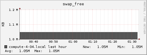 compute-4-04.local swap_free